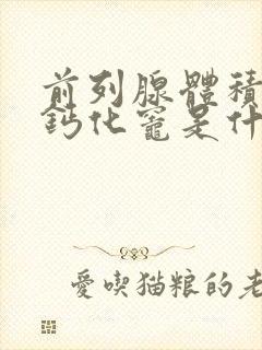 前列腺体积大并钙化灶是什么意思