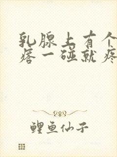 乳腺上有个硬疙瘩一碰就疼