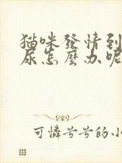 猫咪发情到处乱尿怎么办呢