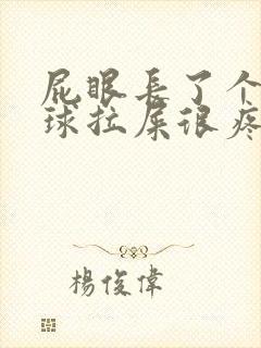 屁眼长了个小肉球拉屎很疼