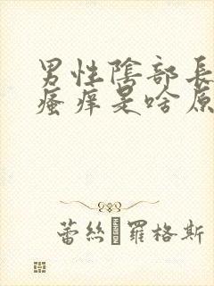 男性阴部长疙瘩瘙痒是啥原因