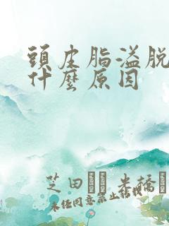 头皮脂溢脱发是什么原因