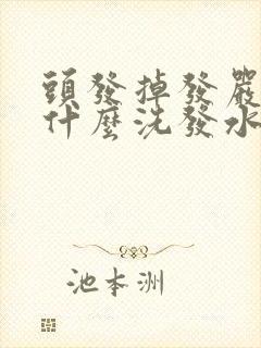 头发掉发严重用什么洗发水比较好