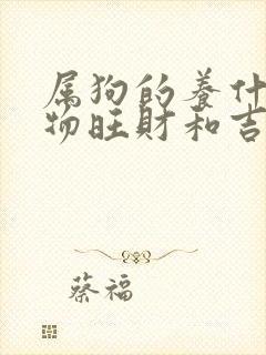 属狗的养什么植物旺财和吉利