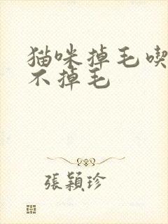 猫咪掉毛吃什么不掉毛