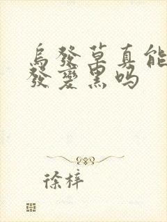 乌发草真能让白发变黑吗