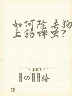 如何除去狗狗身上的蜱虫?