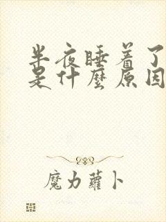 半夜睡着了射精是什么原因