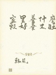 家里养什么花比较好养又旺财