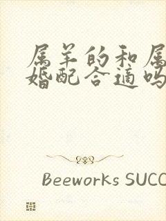 属羊的和属狗的婚配合适吗