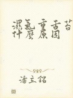 湿气重舌苔黄喝什么原因