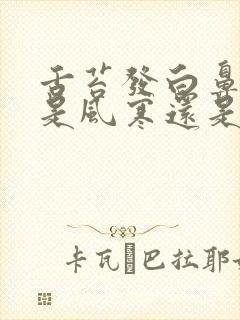 舌苔发白鼻涕黄是风寒还是风热