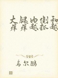 大腿内侧和小腿痒痒越抓越痒有小红疙瘩