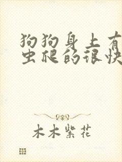 狗狗身上有小黑虫爬的很快是什么虫