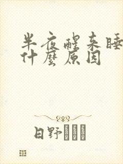 半夜醒来睡不着什么原因