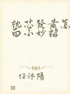 枕芯发黄怎么洗白小妙招