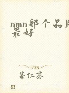 nmn那个品牌最好