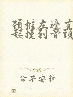 颈椎左边有个凸起摸到骨头