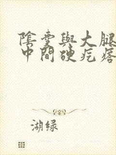 阴囊与大腿根部中间硬疙瘩挂什么科