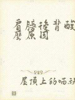 肩膀后背酸痛什么原因