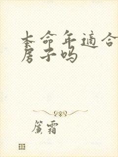 本命年适合装修房子吗