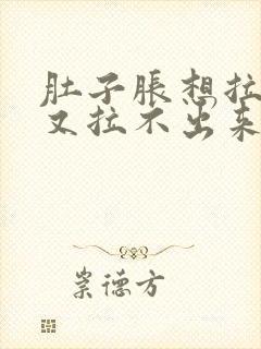 肚子胀想拉粑粑又拉不出来怎么搞