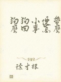 狗狗小便带血怎么回事怎么办