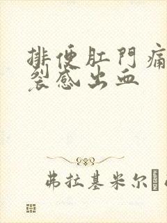 排便肛门痛有撕裂感出血