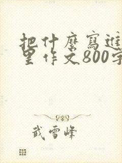 把什么写进青春里作文800字初中