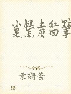 小腿上红点点痒是怎么回事