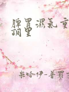 脾胃湿气重怎么调里