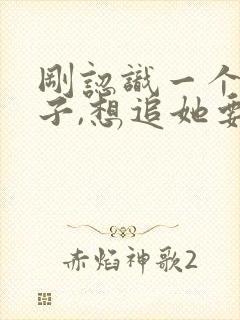 刚认识一个女孩子,想追她要怎么说