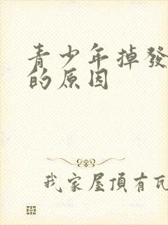 青少年掉发厉害的原因