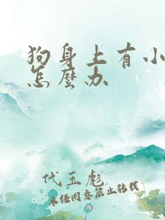 狗身上有小虫子怎么办