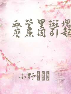 血管里斑块是什么原因引起的