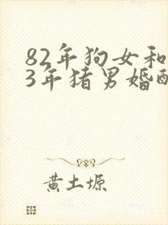 82年狗女和83年猪男婚配能长久吗
