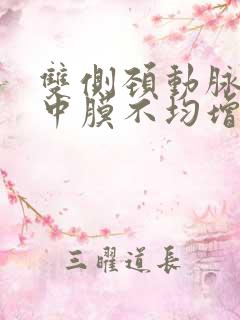 双侧颈动脉内一中膜不均增厚伴斑块多发