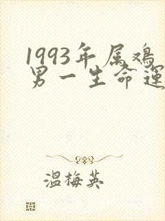 1993年属鸡男一生命运如何
