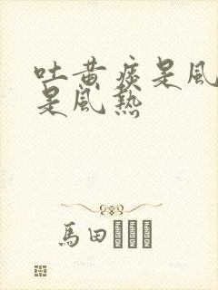 吐黄痰是风寒还是风热