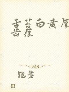 舌苔白黄厚腻有齿痕