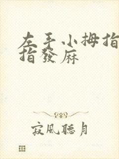 左手小拇指无名指发麻