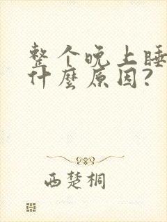 整个晚上睡不着什么原因?