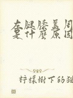 左腿膝盖周围疼是什么原因