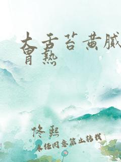 大舌苔黄腻脾虚胃热