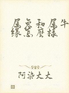 属兔和属牛的姻缘怎么样