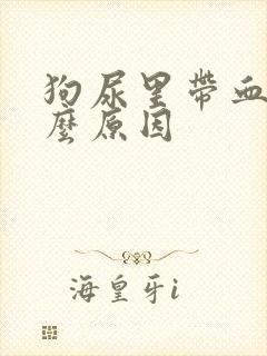 狗尿里带血是什么原因