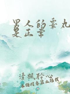 男人的睾丸多大是正常