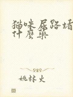 猫咪尿路堵塞吃什么药