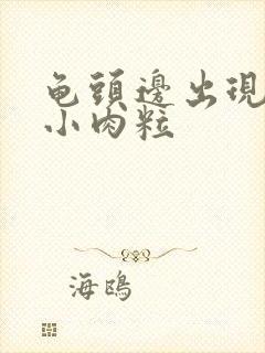 龟头边出现一圈小肉粒