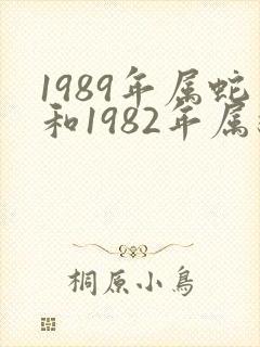 1989年属蛇和1982年属狗姻缘怎么样